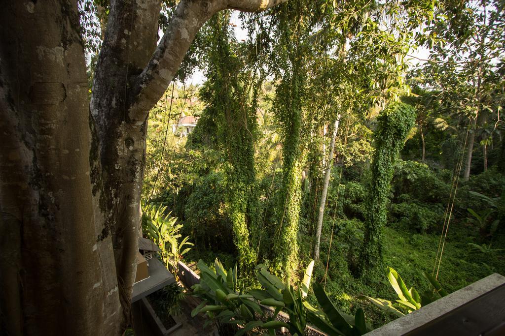 Labak River Hotel By Eps Ubud  Luaran gambar
